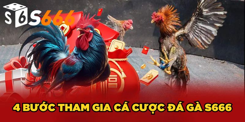 Đá Gà s666 3 4 bước tham gia cá cược đá gà S666