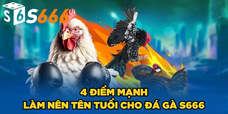 Đá Gà s666 2 4 điểm mạnh làm nên tên tuổi cho đá gà S666