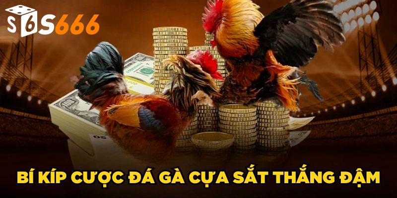 Đá Gà Cựa Sắt S666 | Tìm Hiểu Cách Chơi Đâu Thắng Đó 4 Bí kíp cược đá gà cựa sắt thắng đậm