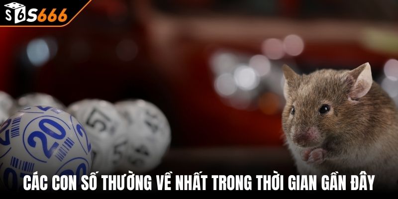 Mơ Thấy Chuột Đánh Con Gì - Giải Mã Giấc Mơ Thấy Chuột 4 Các con số thường về nhất trong thời gian gần đây