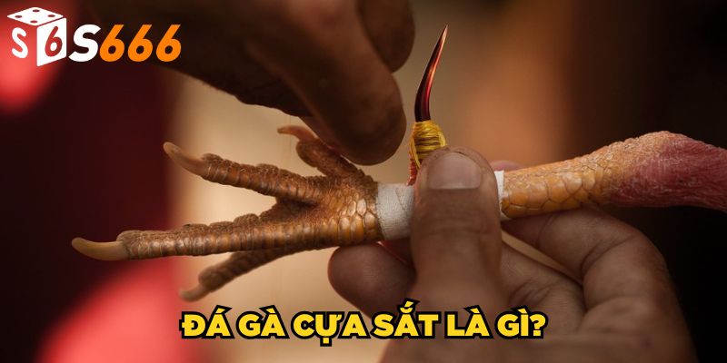 Đá Gà Cựa Sắt S666 | Tìm Hiểu Cách Chơi Đâu Thắng Đó 2 Đá gà cựa sắt là gì?