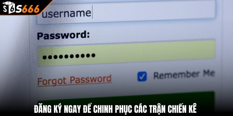Gà Chọi Nòi - Bí Quyết Chiến Thắng Tại S666 3 Đăng ký ngay để chinh phục các trận chiến kê