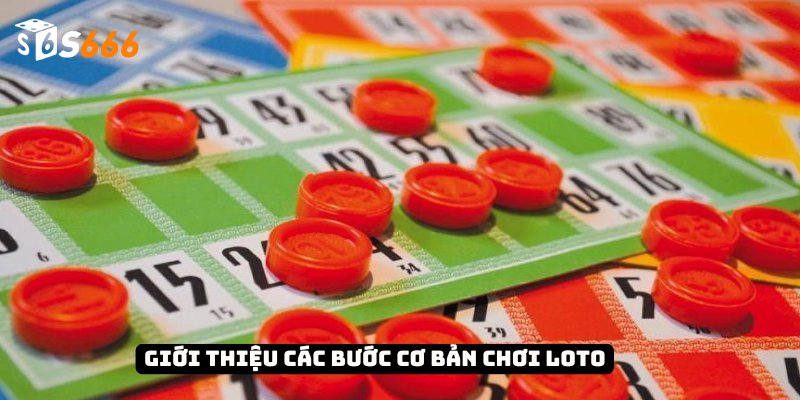Tìm Hiểu Luật Chơi Loto Và Chiến Lược Tham Gia Luôn Thắng 2 Giới thiệu các bước cơ bản chơi Loto