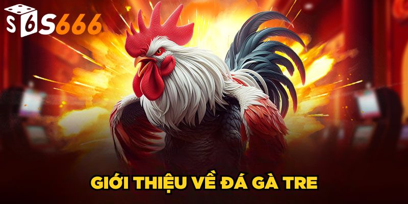 Đá Gà Tre S666 | Kinh Nghiệm Bất Bại Từ Chuyên Gia 2 Giới thiệu về đá gà tre