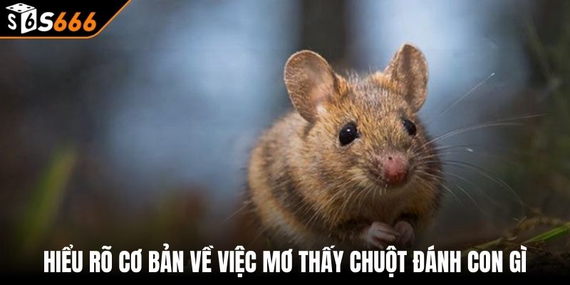 Mơ Thấy Chuột Đánh Con Gì - Giải Mã Giấc Mơ Thấy Chuột 2 Hiểu rõ cơ bản về việc mơ thấy chuột đánh con gì