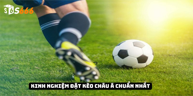 Kèo Châu Á - Phân Tích, Dự Đoán Chính Xác Và Kiếm Lời 4 Kinh nghiệm đặt kèo châu Á chuẩn nhất