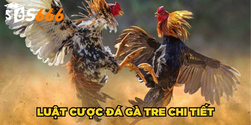 Đá Gà Tre S666 | Kinh Nghiệm Bất Bại Từ Chuyên Gia 3 Luật cược đá gà tre chi tiết