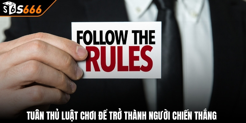 Đá Gà Thomo - Nắm Rõ Luật Chơi Cùng Kinh Nghiệm Đặt Cược 3 Tuân thủ luật chơi để trở thành người chiến thắng